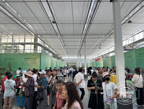 農(nóng)博會之旅 探訪科技小院，體驗(yàn)農(nóng)業(yè)新質(zhì)生產(chǎn)力與教育科技的融合